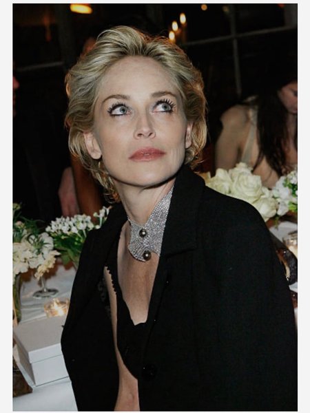 Шэрон Стоун Шэрон Стоун фильмы